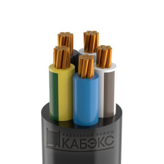 Кабель ВВГнг(А)-LS 5х50 МК (N PE) 0.66кВ (м) Кабэкс ТХМ00209002