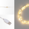 Гирлянда светодиодная Роса 10м 100LED тепл. бел. 1Вт IP20 USB Neon-Night 315-976